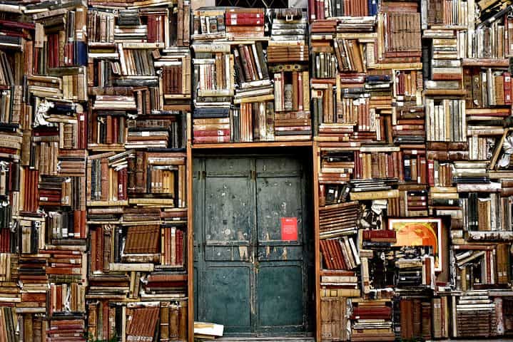 Fachbeiträge / Fachliteratur